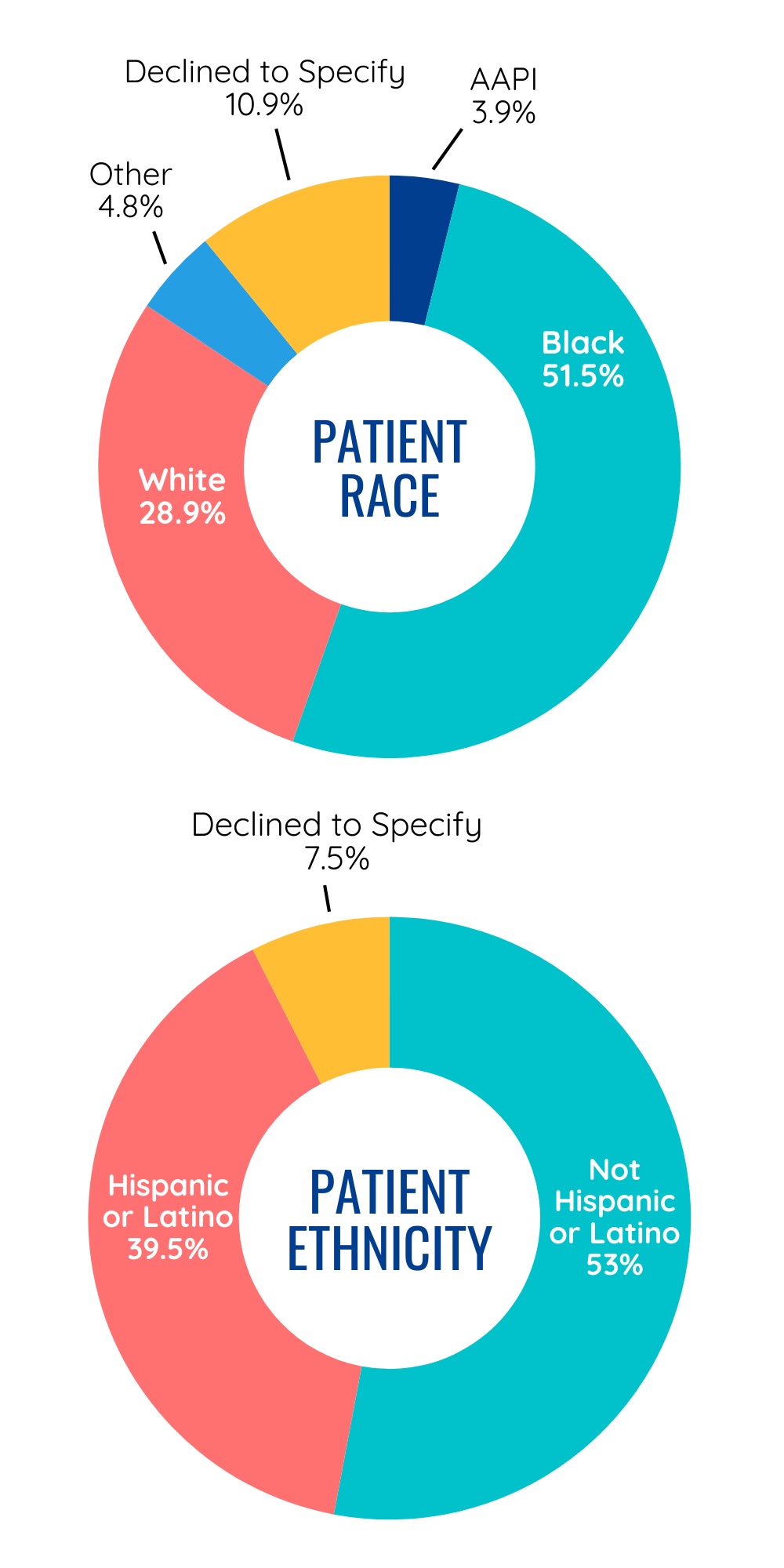 2024 Impact Report Patient Demographics